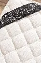 IMG_6220.webp